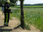 Prio 2 Berm Ruigte Brand Willem Loreweg Kollum